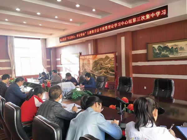 隴運(yùn)集團(tuán)公司召開“不忘初心、牢記使命”主題教育讀書班暨理論學(xué)習(xí)中心組第三次、第四次集中學(xué)習(xí)會議